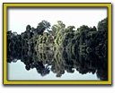 Amazonas potencia h&iacute;drica