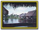 Amazonas potencia h&iacute;drica