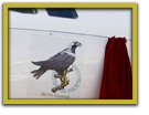 &Aacute;guila Imperial en Airbus de Iberia