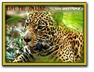 "Save de Amazon" campa&ntilde;a de Greenpeace